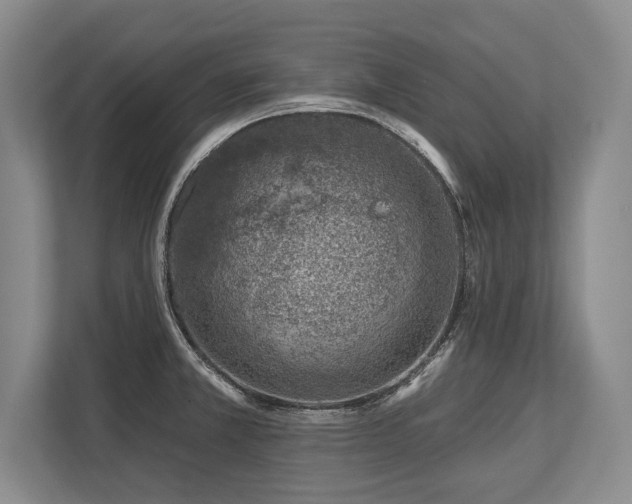 X0000113741381200909231143