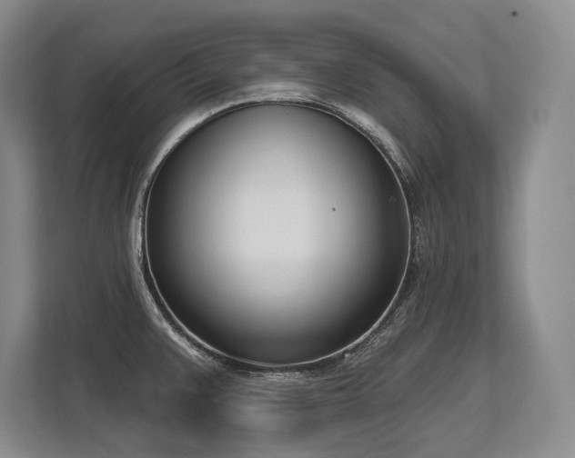 X0000113741383200909231143