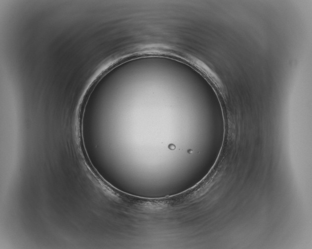 X0000113741384200909231143