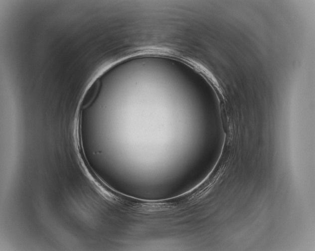 X0000113741391200909231143
