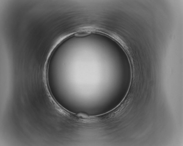 X0000113741392200909231143
