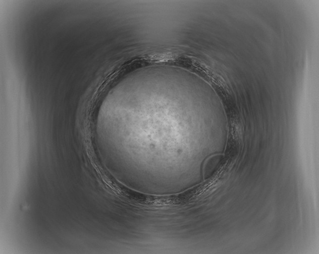 X0000113741393200909231142