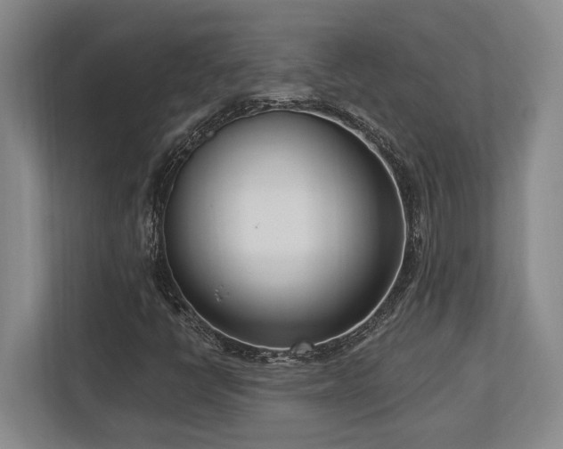 X0000113741398200909231142