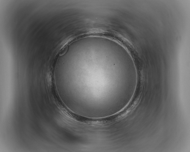 X0000113741401200909231142