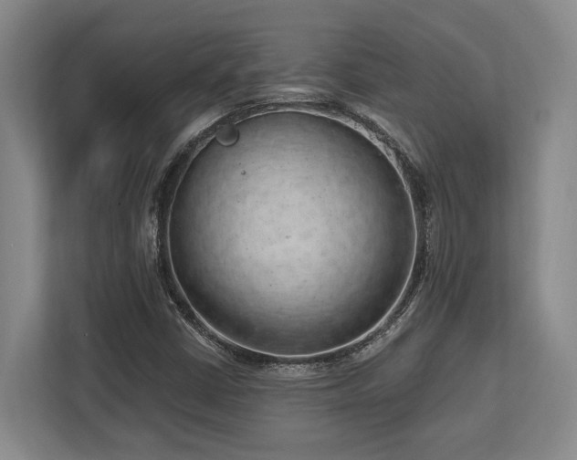 X0000113741402200909231142