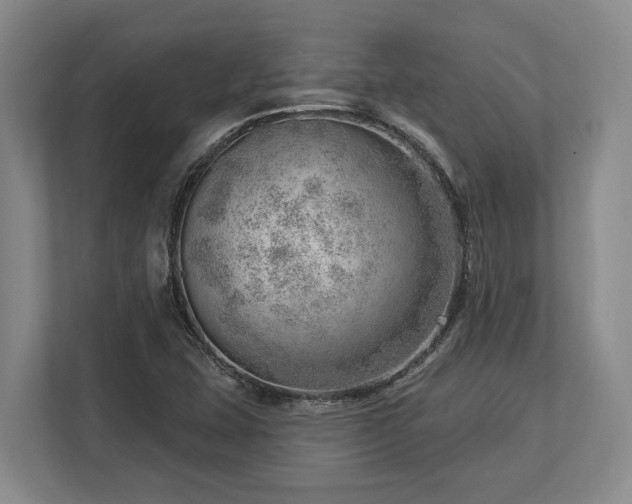 X0000113741407200909231143