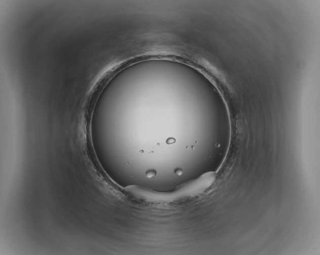 X0000113741408200909231143