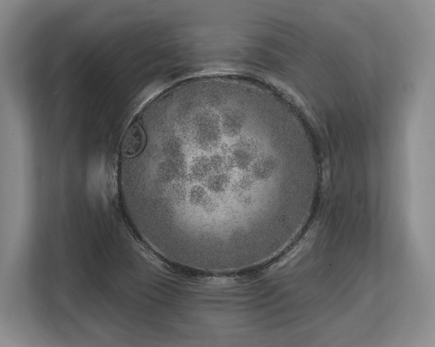 X0000113741409200909231143