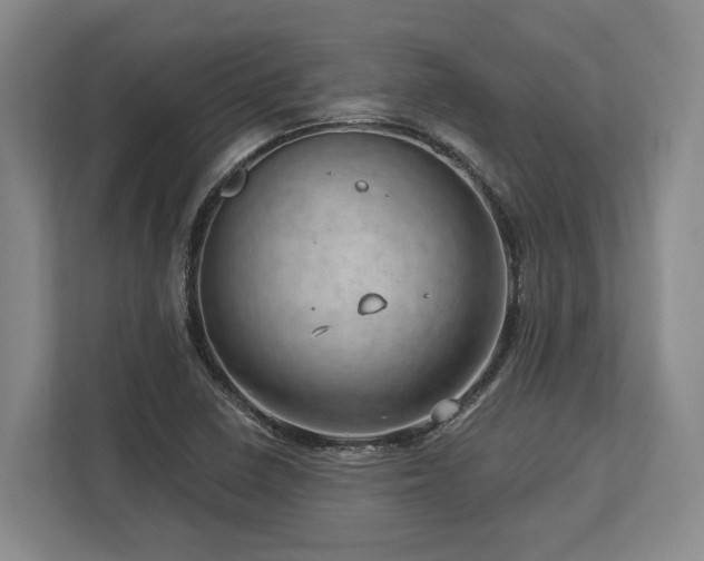 X0000113741410200909231143