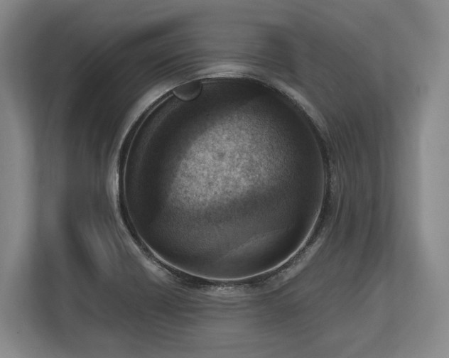 X0000113741418200909231143