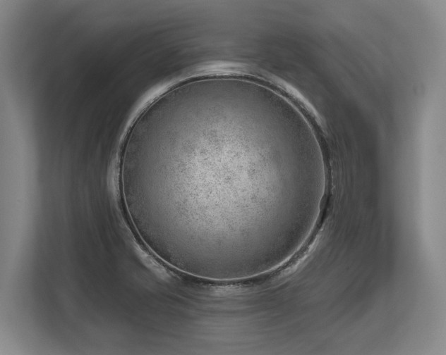 X0000113741421200909231143