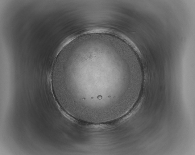 X0000113741425200909231143