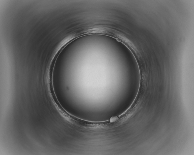 X0000113741426200909231143