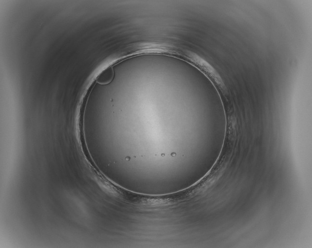 X0000113741427200909231143