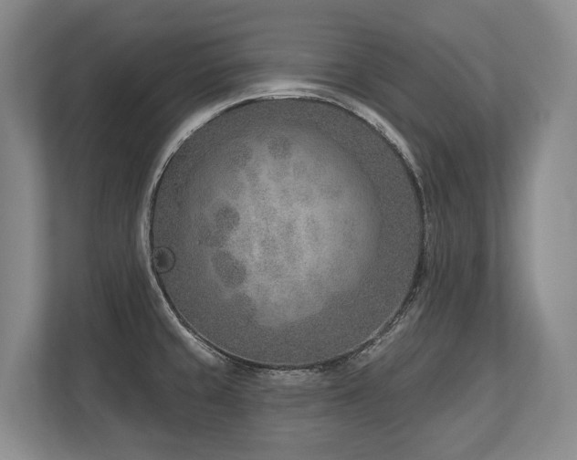 X0000113741429200909231143