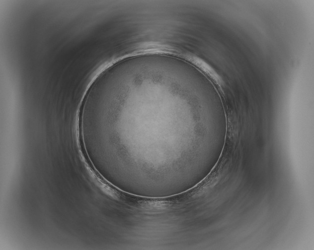 X0000113741431200909231143