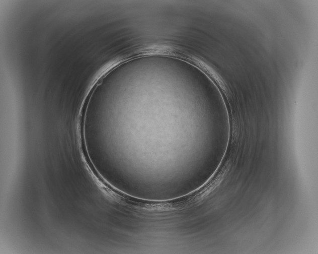 X0000113741434200909231143