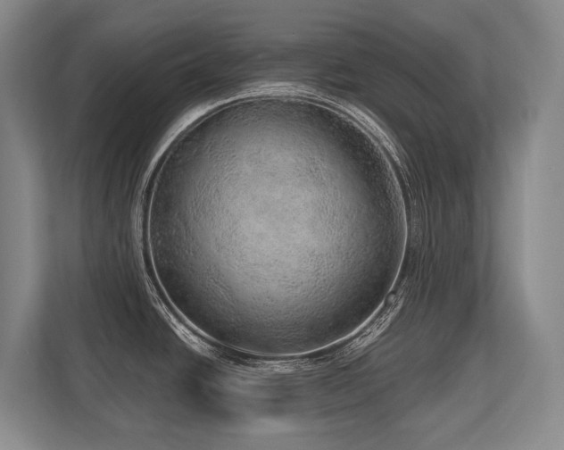 X0000113741438200909231143