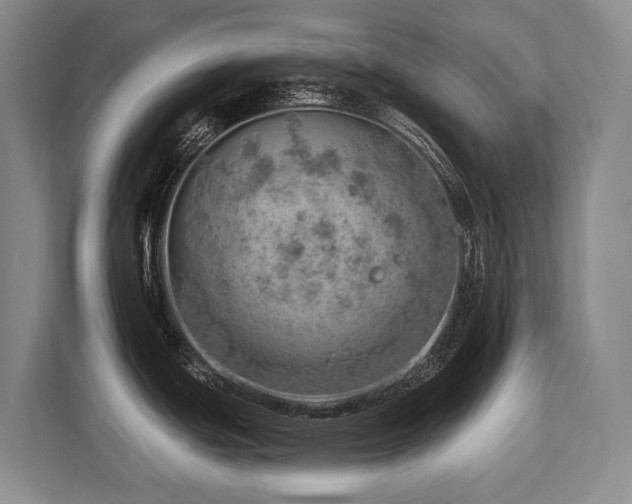 X0000113741439200909231143