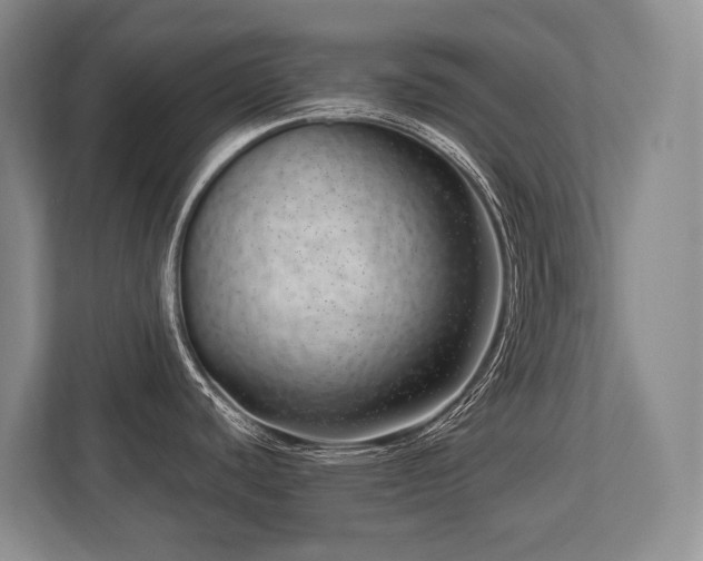 X0000113741440200909231143