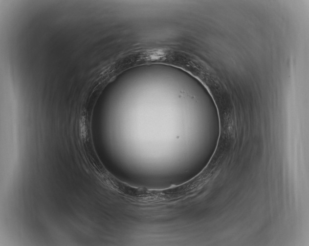X0000113741442200909231142