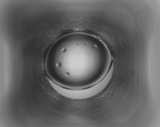 X0000113741444200909231142