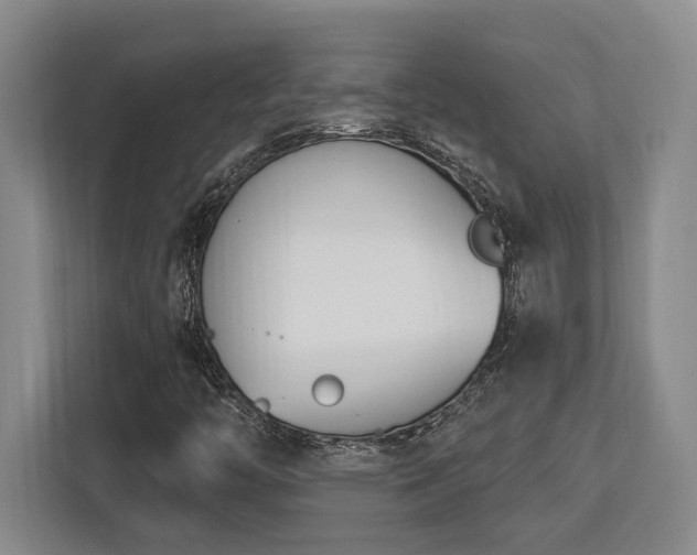 X0000113741446200909231142