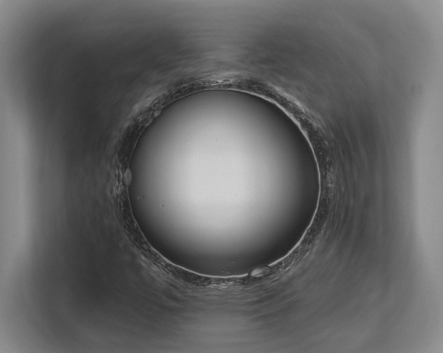 X0000113741447200909231142