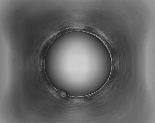 X0000113741448200909231142