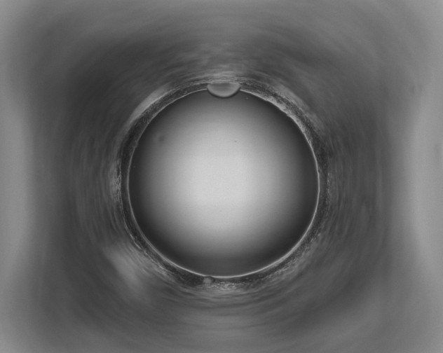 X0000113741450200909231142