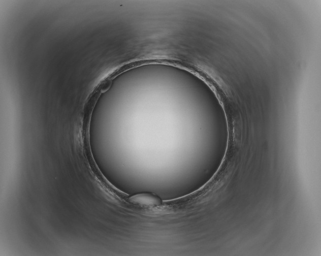 X0000113741452200909231142