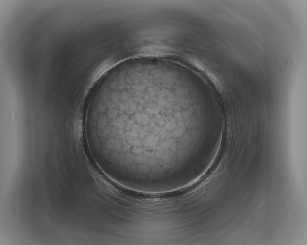 X0000113741459200909231142