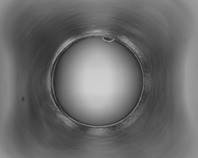 X0000113741474200909231142