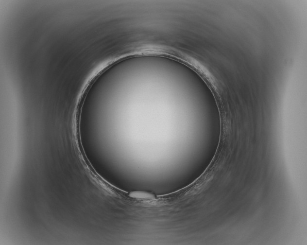 X0000113741480200909231142