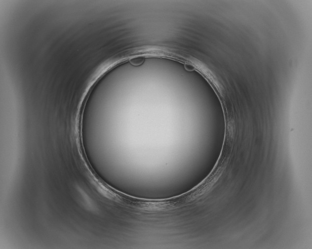 X0000113741482200909231142