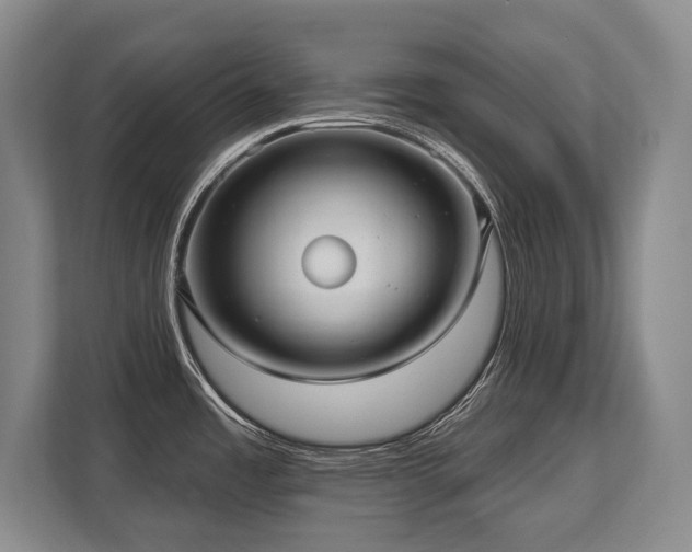 X0000113741485200909231142