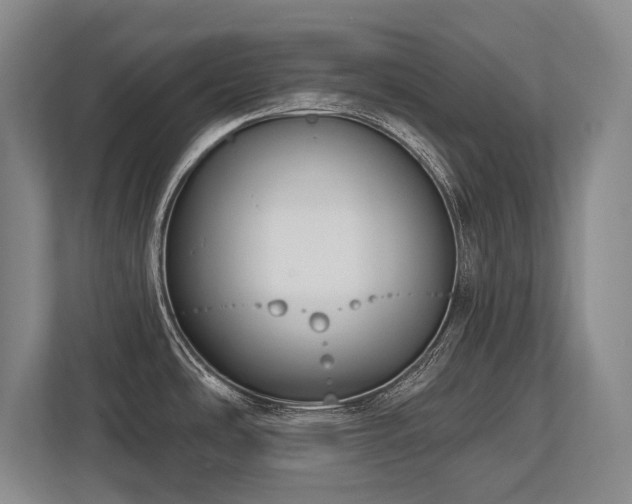 X0000113741486200909231142