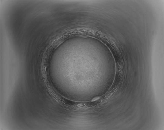 X0000113741489200909231141
