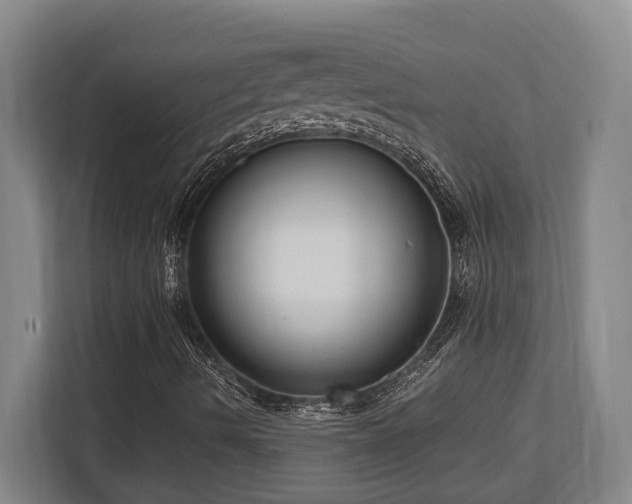 X0000113741490200909231141