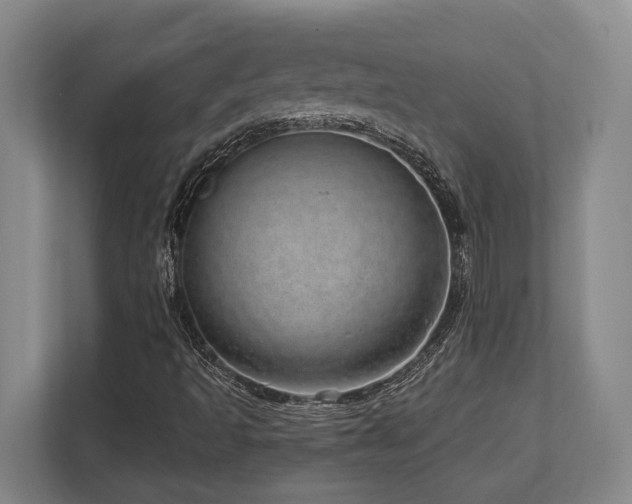 X0000113741493200909231141
