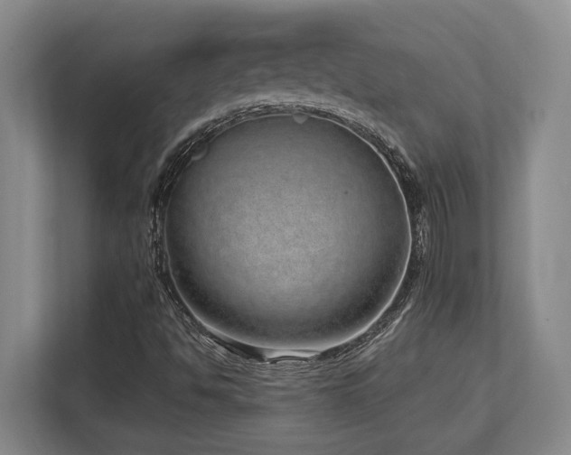 X0000113741494200909231141