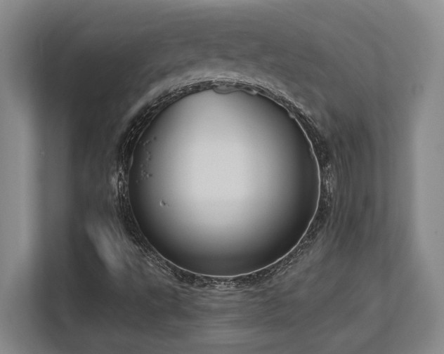 X0000113741495200909231141