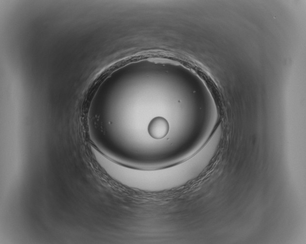 X0000113741496200909231141