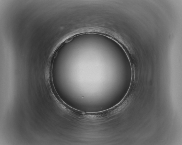 X0000113741500200909231141