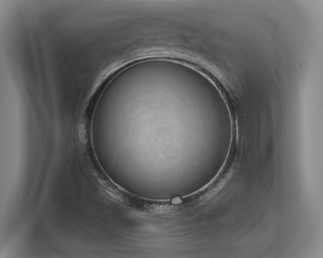 X0000113741501200909231141