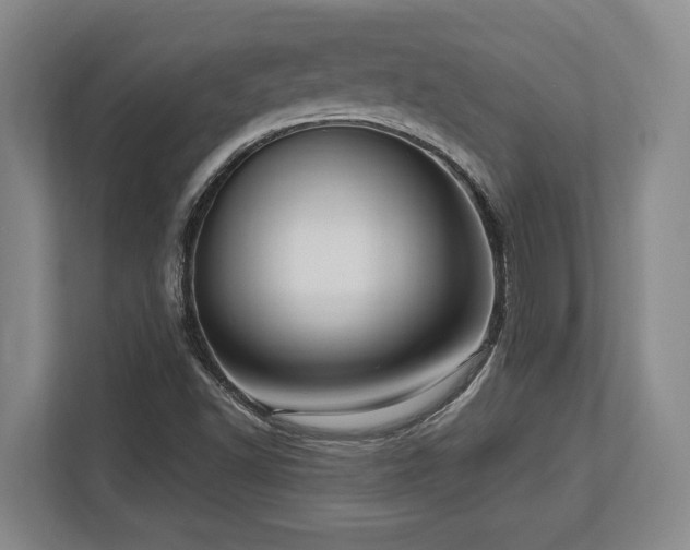 X0000113741502200909231141