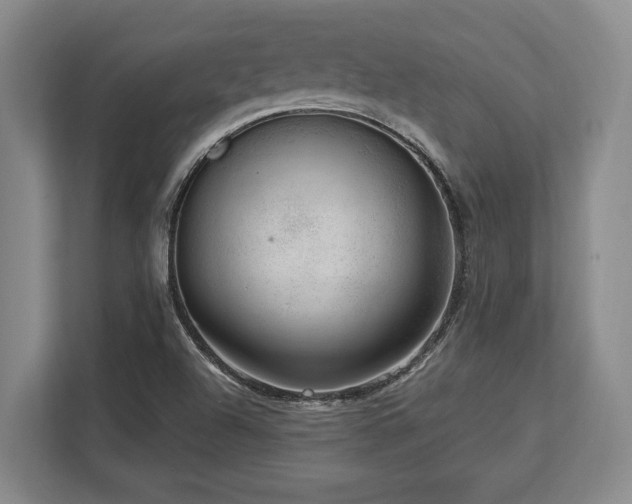 X0000113741504200909231141