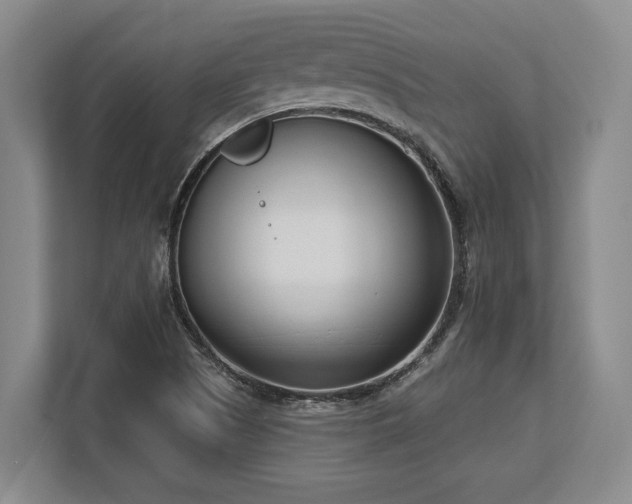 X0000113741505200909231141
