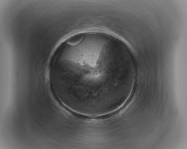 X0000113741506200909231141
