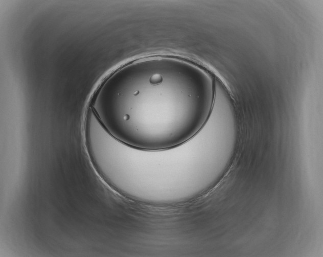 X0000113741508200909231141